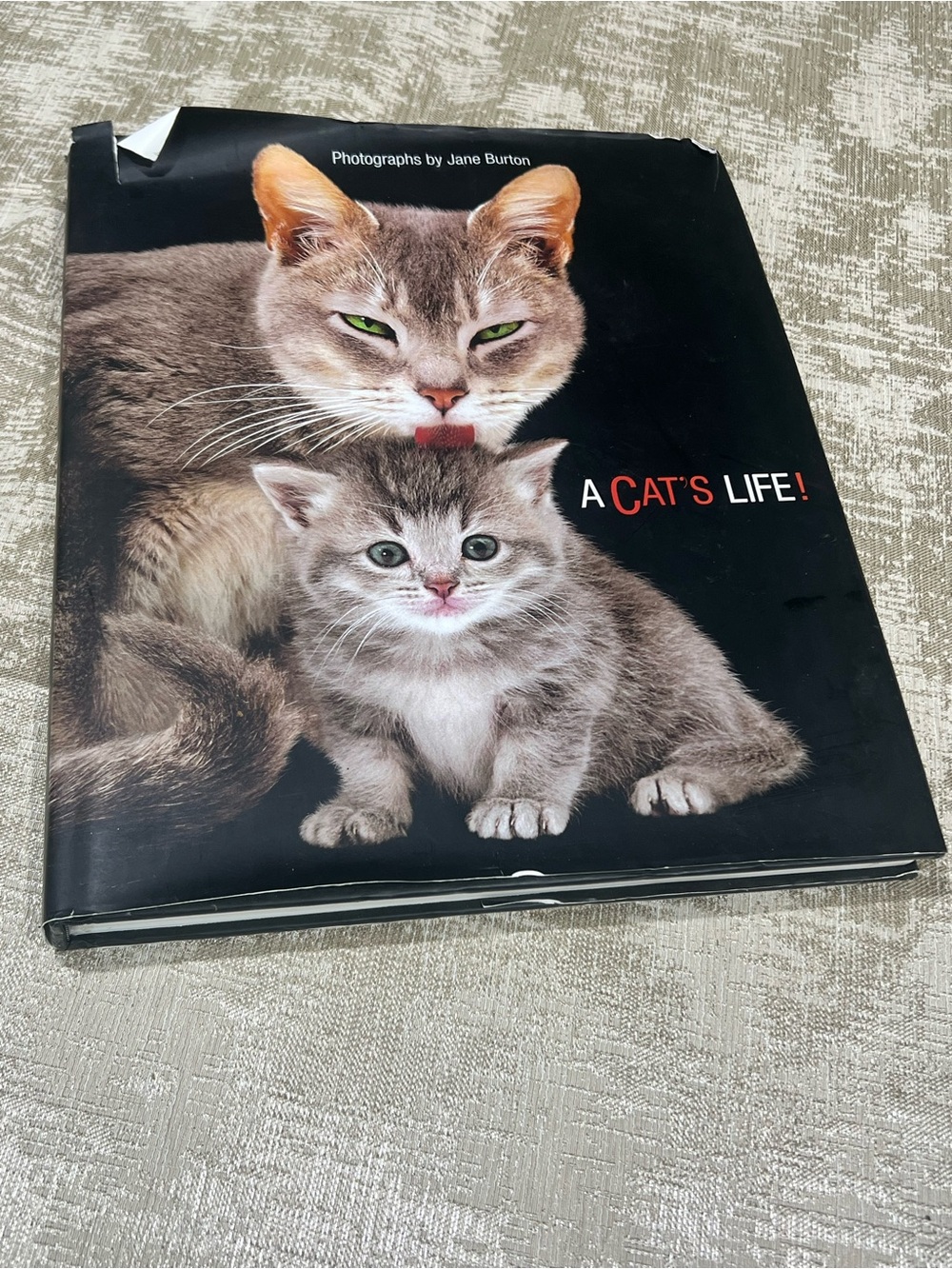 A Cat's Life! Hardcover Picture Book by Jane Burton Fall River Press Illustrated